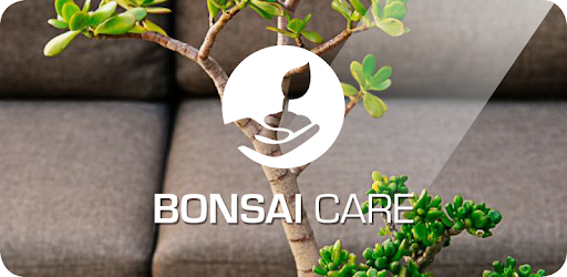 Bonsai Care PC screenshot Bonsai Care PC screenshot