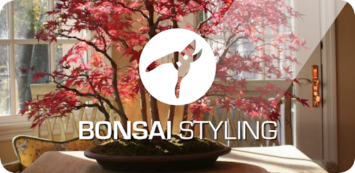 Bonsai Styling PC screenshot Bonsai Styling PC screenshot