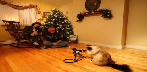 Funny pictures 37 PC screenshot Funny pictures 37 PC screenshot