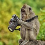 Funny pictures 37 for PC Funny pictures 37 for PC
