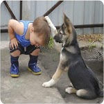 Funny pictures 43 for PC Funny pictures 43 for PC