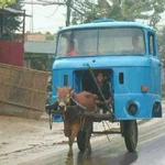 Funny pictures 46 for PC Funny pictures 46 for PC