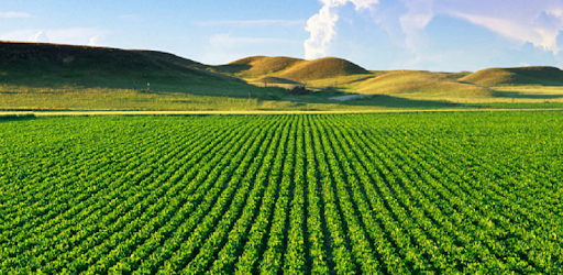 Agriculture PC screenshot Agriculture PC screenshot