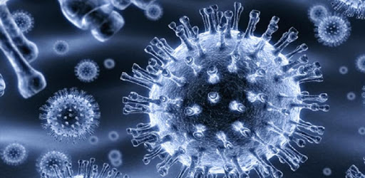 Virology PC screenshot Virology PC screenshot