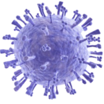 Virology for PC Virology for PC