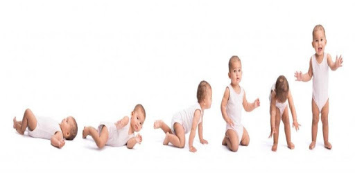 Baby development PC screenshot Baby development PC screenshot