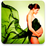 My Pregnancy week by week for PC
