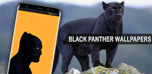Black Panther Wallpapers PC screenshot