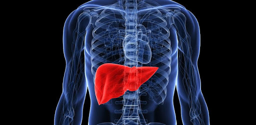 Top Liver Cleansing Superfoods PC screenshot