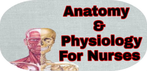 Anatomy and physiology For Nurses PC screenshot
