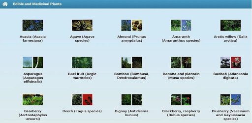 Edible and Medicinal Plants PC screenshot Edible and Medicinal Plants PC screenshot