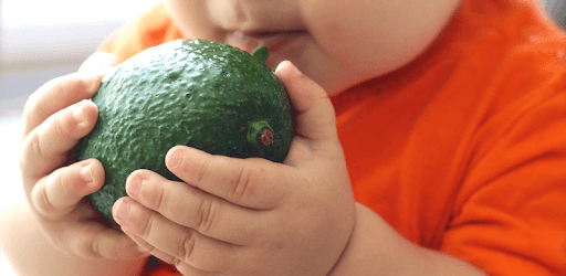 Amazing Baby Food Recipes PC screenshot Amazing Baby Food Recipes PC screenshot