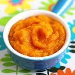 Amazing Baby Food Recipes for PC Amazing Baby Food Recipes for PC