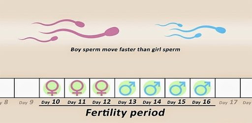 ovulation calculator PC screenshot ovulation calculator PC screenshot