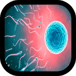 Fertility for PC Fertility for PC