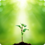 Plants Identification icon