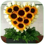 Arreglos de Flores icon