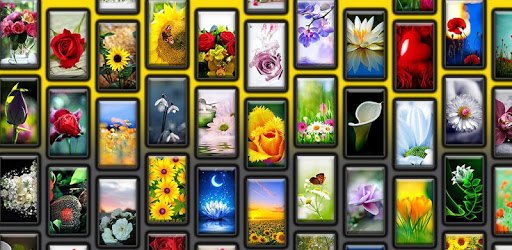 4K Flower Wallpaper PC screenshot 4K Flower Wallpaper PC screenshot