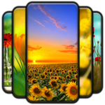 4K Flower Wallpaper for PC 4K Flower Wallpaper for PC