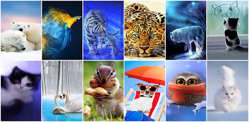 Cute Animal Wallpaper PC screenshot