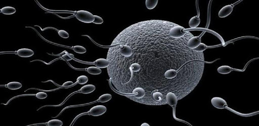 Increase Your Sperm PC screenshot