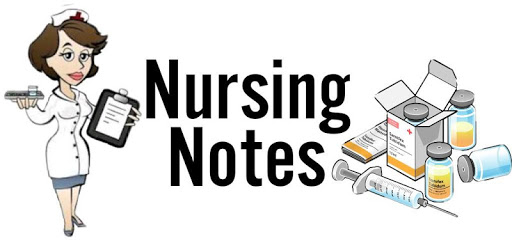 Best Nursing Notes PC screenshot