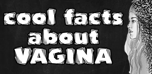 Vagina Facts PC screenshot