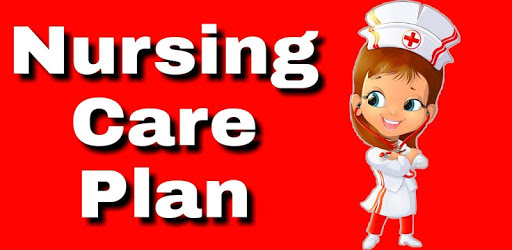 Nursing Care Plans PC screenshot