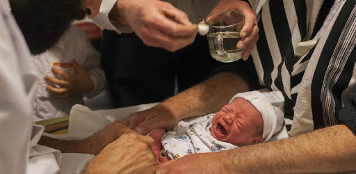 Circumcision PC screenshot