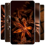 Brown Wallpaper icon