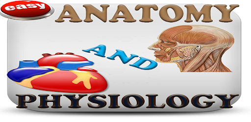 Anatomy & Physiology Mnemonics PC screenshot