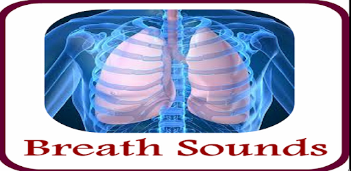 Breath Sounds (Lungs Sounds) PC screenshot Breath Sounds (Lungs Sounds) PC screenshot