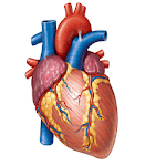 Cardiology Mnemonics, History Taking & Examination icon