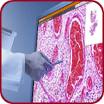 Pathology Atlas (Basic Gross & Microscopic slides) icon