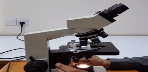 Diagnostic microbiology PC screenshot