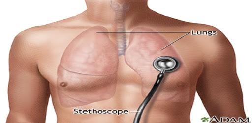 All Lung Sounds & Chest X-Rays PC screenshot All Lung Sounds & Chest X-Rays PC screenshot