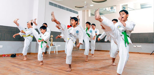 Karate for beginners PC screenshot Karate for beginners PC screenshot