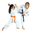 Karate for beginners icon