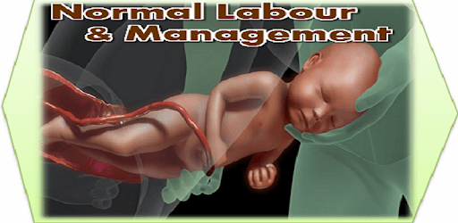 Normal Labour And Management PC screenshot