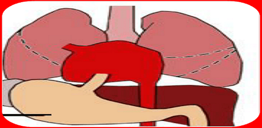 X- Rays Learning PC screenshot