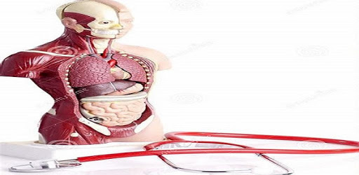 All Anatomy Mnemonic PC screenshot All Anatomy Mnemonic PC screenshot