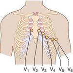 Clinical ECG Guide. icon