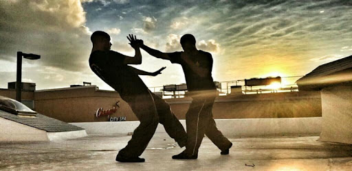 Wing Chun : Tips & Lessons PC screenshot