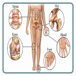 Basics of Orthopaedics icon