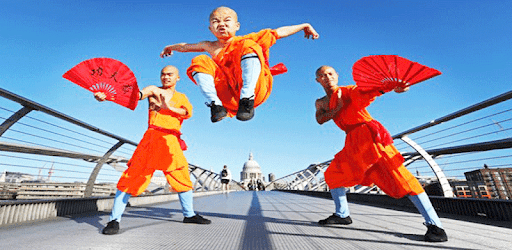 Kung Fu Lessons PC screenshot