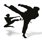 Kung Fu Lessons icon