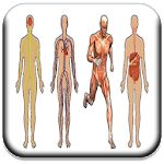 All Body Systems icon