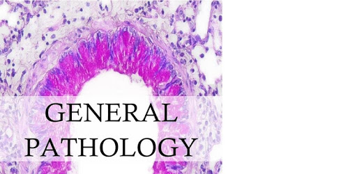 General Pathology PC screenshot General Pathology PC screenshot