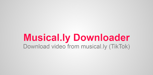 Video downloader for musical.ly (TikTok) PC screenshot