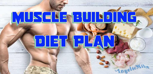 Muscle Building Diet Plan PC screenshot